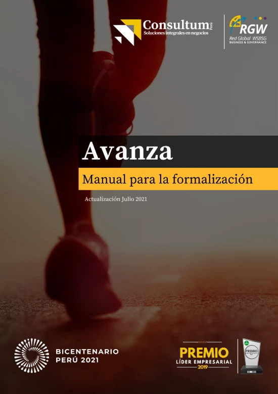 manual de formalizacion